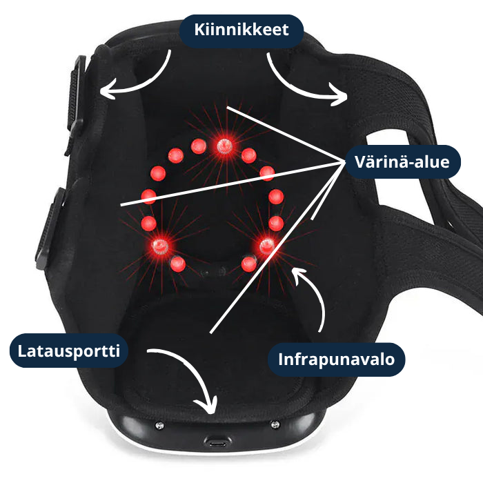 LepoPolvi
